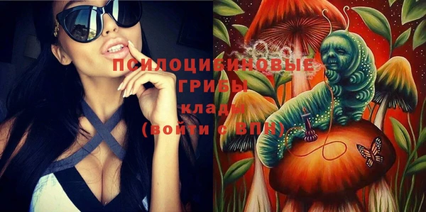 хмурый Абаза
