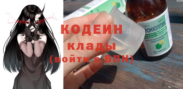 хмурый Абаза