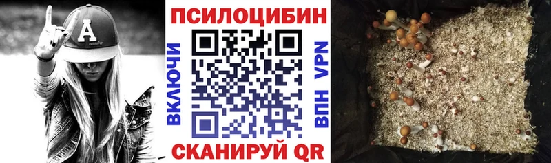 купить наркотик  Зубцов  Галлюциногенные грибы прущие грибы 